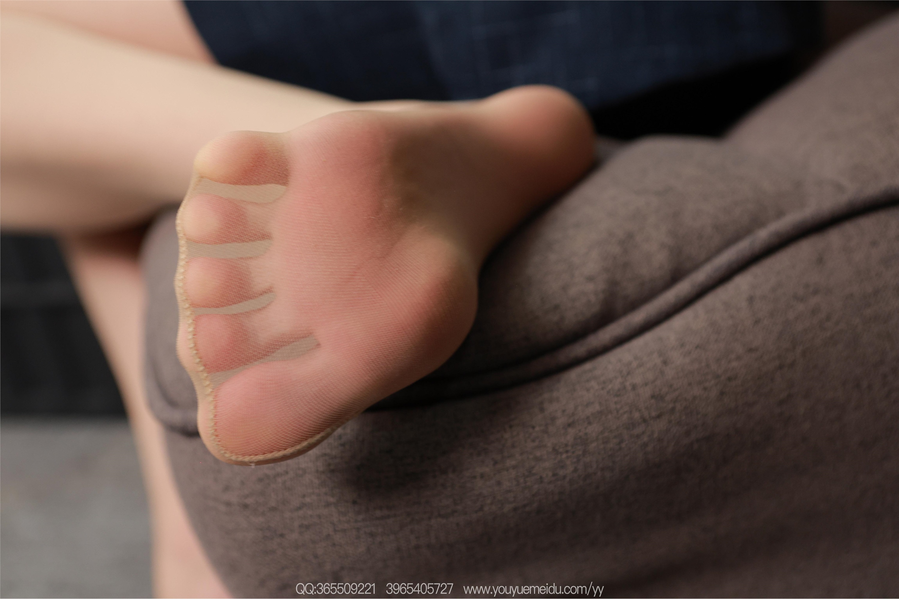 IESS异思趣向  2025.12.29 丝享家2251：团团《亮晶晶（下）》